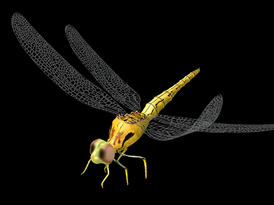 Yellow Dragonfly With Net Like Wings And Slender Body Against Black Background 3d model