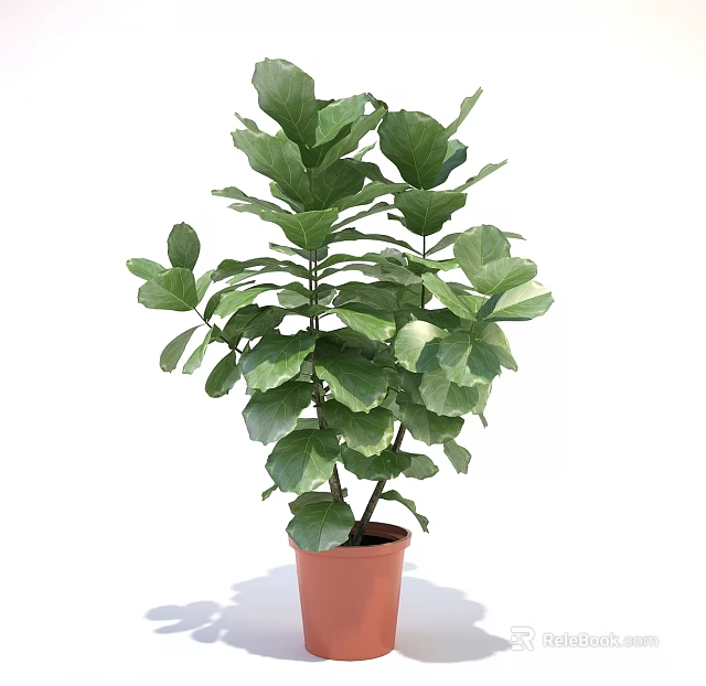 Indoor Bonsai Potted Plant with Lush Green Dense Leaves in Brown Pot 3d model 