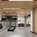 Spacious Modern Gym Interior Design With Professional Fitness Training Equipment And Natural Green Decorations