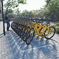 Yellow Shared Bikes Parked Along Roadside With Trees Brick Pavement And Person Standing Nearby