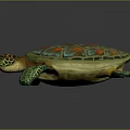 Vibrant Sea Turtle With Colorful Shell And Orange Green Patterns On Gray Background