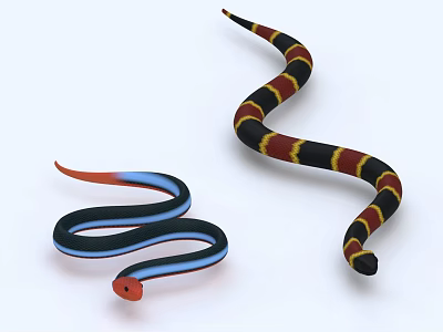 Colorful Reptile Snakes Coiled with Blue Black Red and Yellow Striped Patterns 3d model
