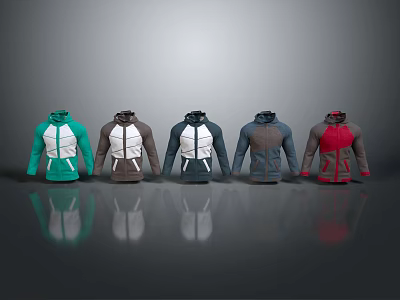 Fashionable Hooded Jackets In Various Colors With Spliced Design For Casual Sporty Look 3d model
