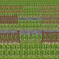 Organized Farm Garden With Neat Green Plants Stone Path And Wooden Fences