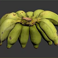 Fresh Green Banana Bunch with Natural Brown Tips on Dark Background