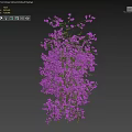 Climbing Vines with Purple Flowers Wrapping Around White Pillar Near Woman Silhouette