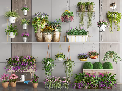 Indoor Decorative Bonsai and Potted Plants with Hanging Baskets and Shelf Displays 3d model