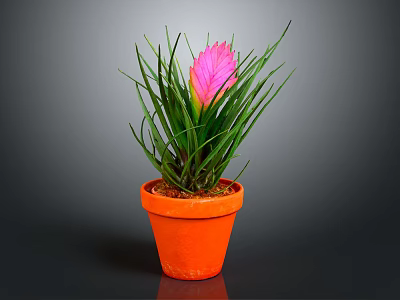 Vibrant Houseplant With Long Green Leaves And Pink Flower In Orange Pot 3d model