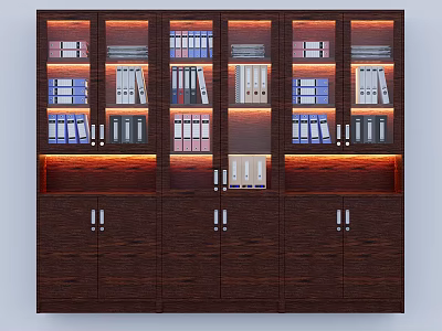 Dark Brown Bookcase with Glass Door Compartments Folders Books and Bottom Cabinet Doors Lighting Accents 3d model