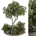 Lush Green Arbor With Branches Shrubs And Stones In Natural Setting
