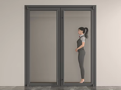Modern Glass Double Doors Interior With Dark Frame And Human Figure Standing Beside 3d model