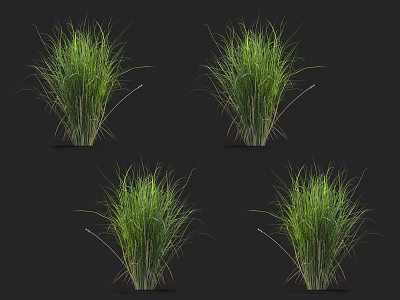 Multiple Lush Green Grass Plants Display On Black Background For Home Decor 3d model