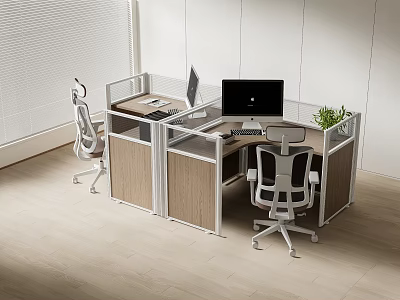 Modern Office Desk Workspace With Partition Ergonomic Chair Computer And Green Plant 3d model