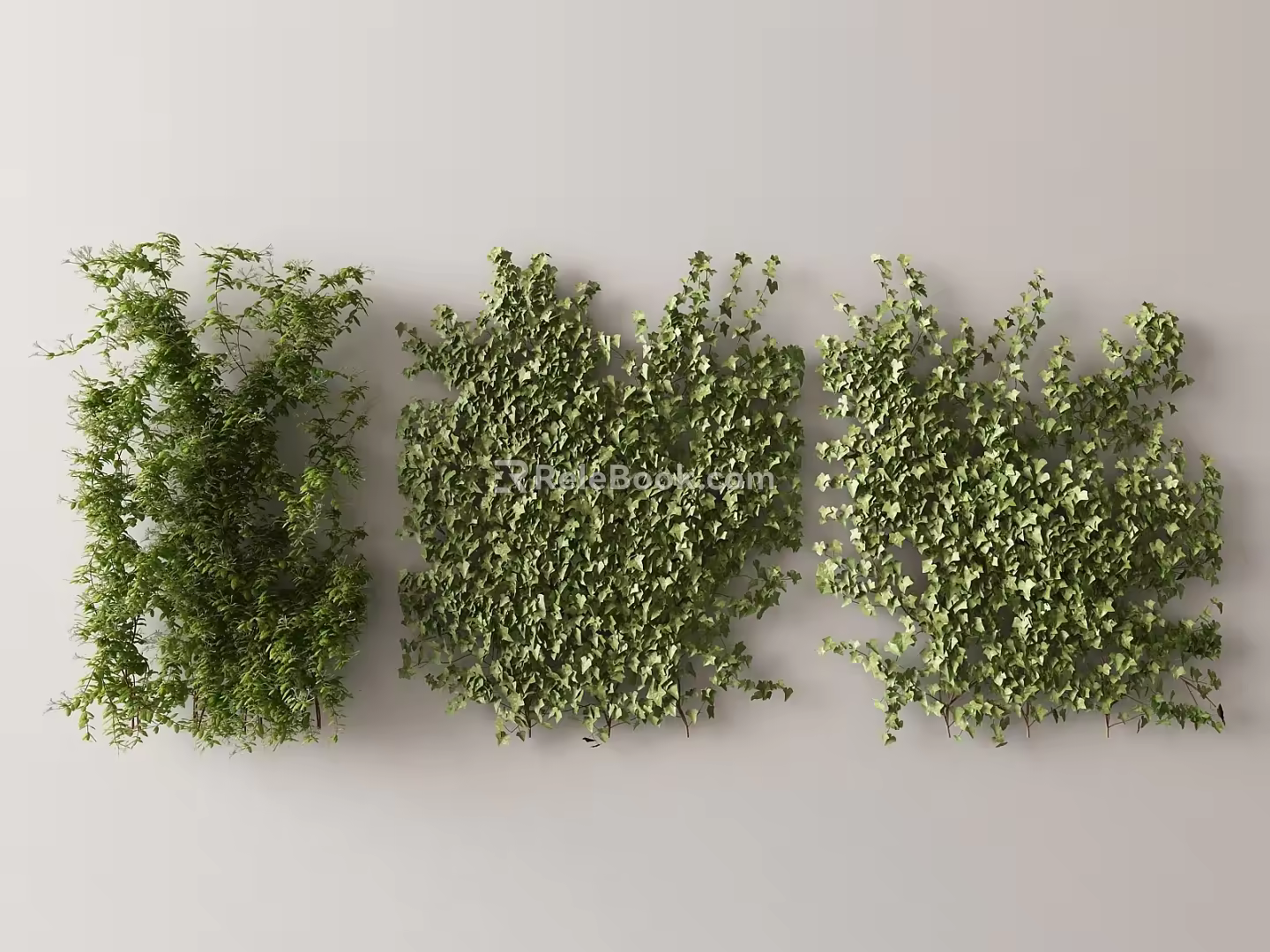 Modern Vine 3d model
