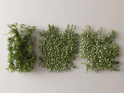 Modern Vine 3d model
