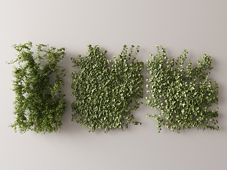 Modern Vine 3d model