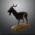 Detailed Life Sized Brown Horned Goat Taxidermy Standing on Stone Base