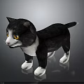 Cute Black and White Kitten With Yellow Eyes Standing On Gray Background