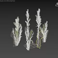 Green Leafy Herbs with Slender Stems in Gray Background Natural Soil 3d model