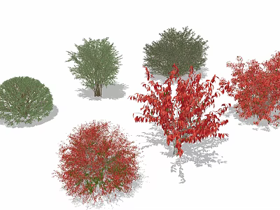 Various Types of Garden Bushes With Green and Red Leaves and Different Shapes 3d model