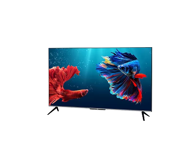 Modern TV Screen Display With Colorful Red And Blue Fish On Underwater Background 3d model