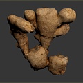 Ginger Ginger Seasoning Ingredients Vegetable Plant 3d model