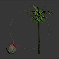 Tall Palm Tree With Green Leaves And Small Red Green Succulent Plant