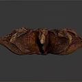 Dried Star Anise Spice with Brown Star Shaped Pods on Dark Background