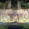 Luxurious Banquet Hall Setup With Hanging Greenery Chandeliers Round Tables And Soft Lighting