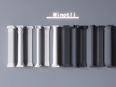 White And Black Decorative Columns With Classical And Modern Designs For Interior 3d model