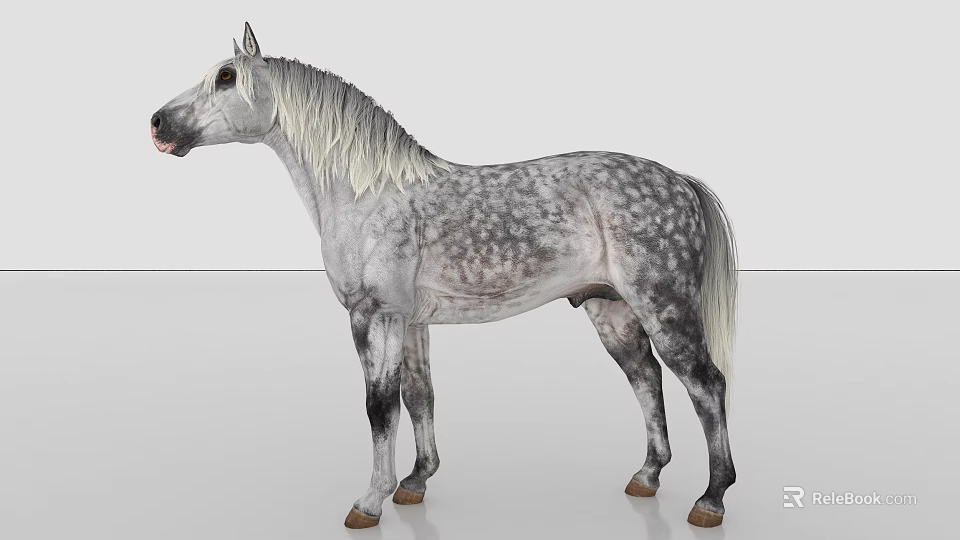 Gray And White Spotted Horse With Long White Mane Standing On Gray Background 3d model 