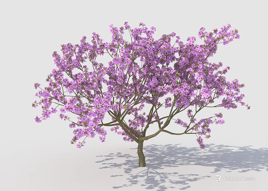 Blooming Tree With Dense Purple Flowers And Shadow On White Background 3d model