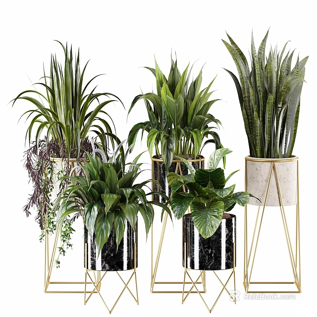 Stylish Planters with Various Green Plants on Gold Metal Stands and Marble Bases 3d model 