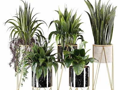 Stylish Planters with Various Green Plants on Gold Metal Stands and Marble Bases 3d model