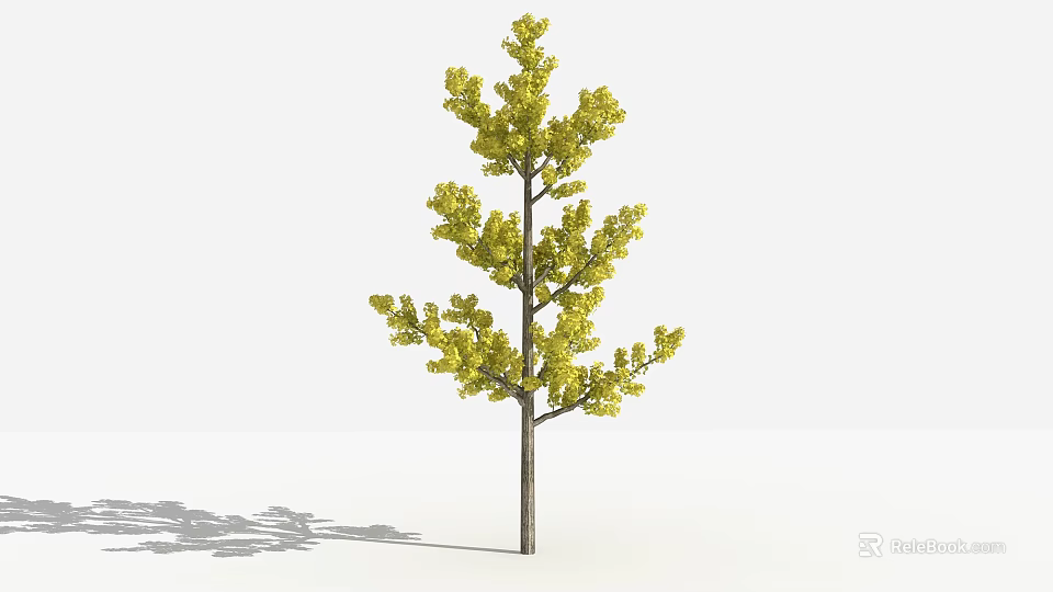 Tall Arbor With Yellow Leaves Brown Trunk And White Background Shadow 3d model 