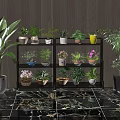 Decorative Indoor Bonsai And Potted Plants On Multi Layer Shelf With Marble Floor