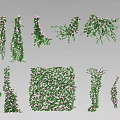 Various Decorative Vines With Green Leaves And Pink Flowers In Climbing Designs