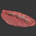 Natural Wood and Stone Decorative Piece with Textured Surface and Contrasting Colors