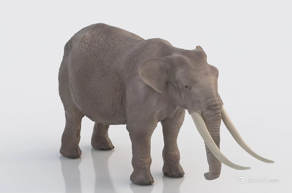 Gray Reptile Model With Long Tusks Standing On White Background 3d model 