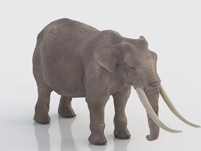 Gray Reptile Model With Long Tusks Standing On White Background 3d model