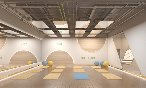 Modern Yoga Room 3d model