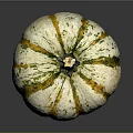 Fresh White and Yellow Striped Pumpkin with Green Spots and Round Shape