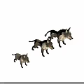 Three Fierce Cartoon Wolf 3D Models With Red Eyes And Gray White Fur