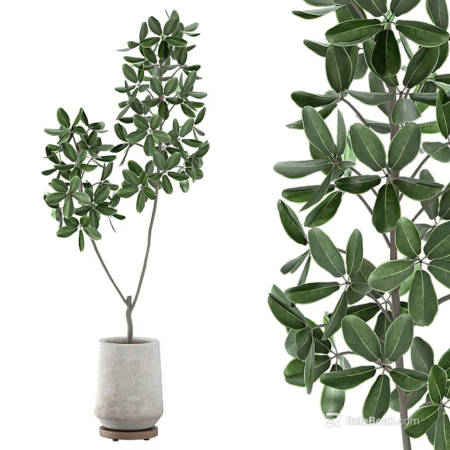 Lush Green Leaf Bonsai Potted Plant With Modern Cement Pot And Natural Branch Design 3d model 
