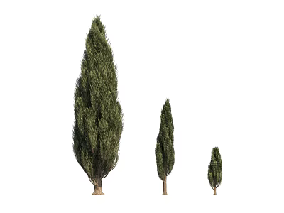 Cypress Arbor in Three Different Sizes with Green Foliage on White Background 3d model