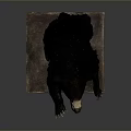 Lifelike Black Bear Taxidermy Standing on Wooden Base with Open Mouth