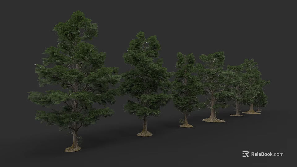 Tall Green Arbor Trees with Lush Foliage Arranged in a Row 3d model