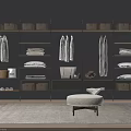 Modern Walk in Closet Design with Hanging Clothes Folded Clothes Storage Boxes and Stool