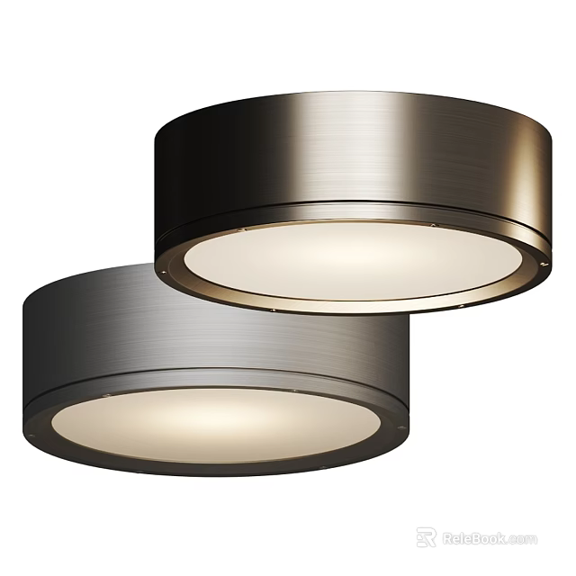 Two Modern Round Metal Flush Mount Ceiling Lights Illuminated For Interior Design 3d model