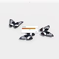 Three Black Butterflies With White And Orange Spots On White Background